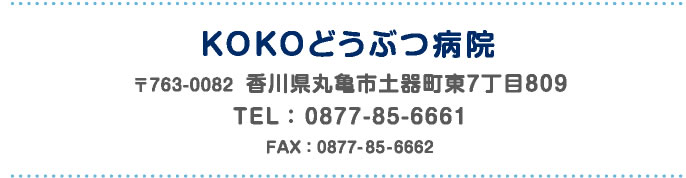 KOKOどうぶつ病院 〒763-0082 香川県丸亀市土器町東7丁目809 TEL： 0877-85-6661 FAX：0877- 85-6662