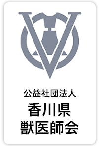 KOKOどうぶつ病院日記はこちら：ある日の出来事、診察した症例などを綴っています。